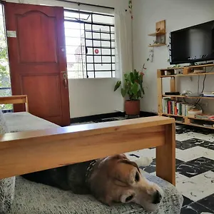 Selvática Hostal
